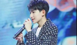 老王爆料王源视频大全,老王爆料视频大全，带你领略偶像魅力